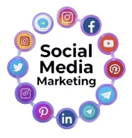 freelance digital marketing strategist in ernakulam blog ssm